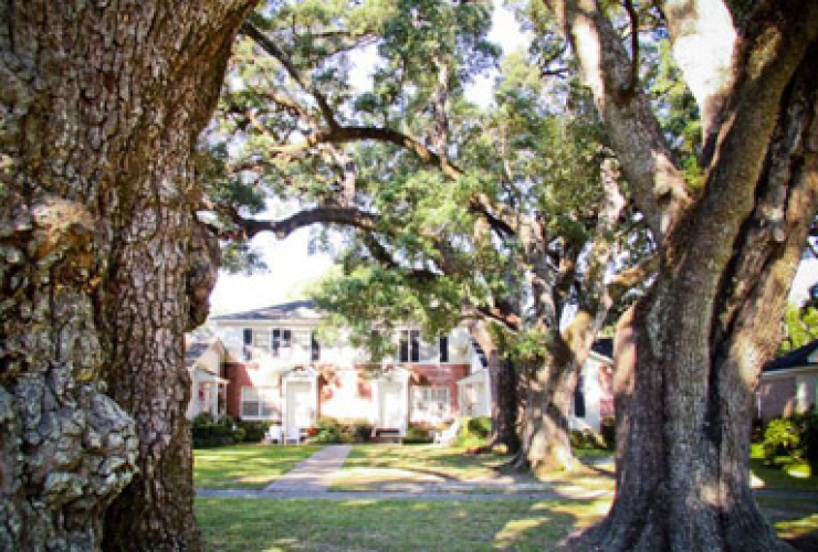 Home D'Iberville Apartments